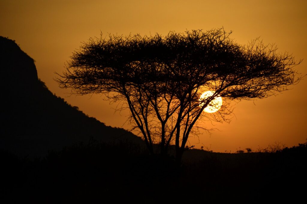 Kenia Urlaub: Weite Landschaft und Wildtiere hautnah