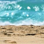 Urlaub auf den Kanaren direkt am Meer