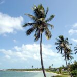 Meine Reise nach Key West