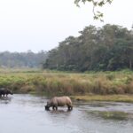 Tipps umweltbewusste Safari Chitwan