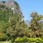 Tubing in Vang Vieng Laos