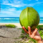 Seychellen Tipps Urlaub im Paradies zu jeder Jahreszeit