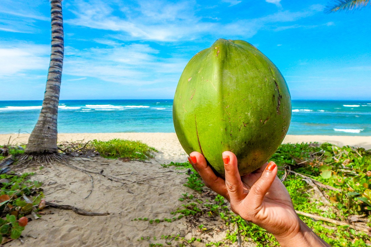 Seychellen Tipps Urlaub im Paradies zu jeder Jahreszeit