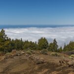 Aktivurlauber Paradies Kanarische Inseln