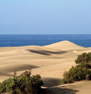 Maspalomas de Gran Canaria