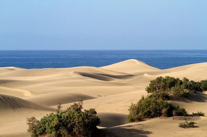 Maspalomas de Gran Canaria