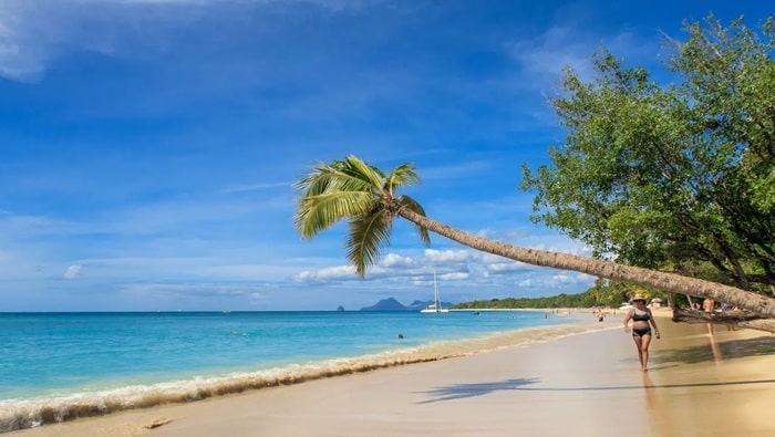 Urlaub Martinique Karibik