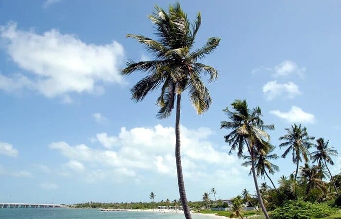 Meine Reise nach Key West