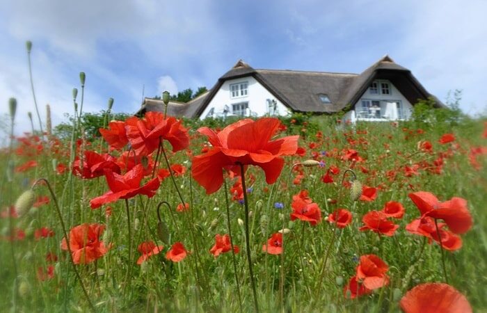 Ferienhaus Usedom Loddin