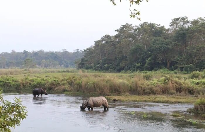 Tipps umweltbewusste Safari Chitwan