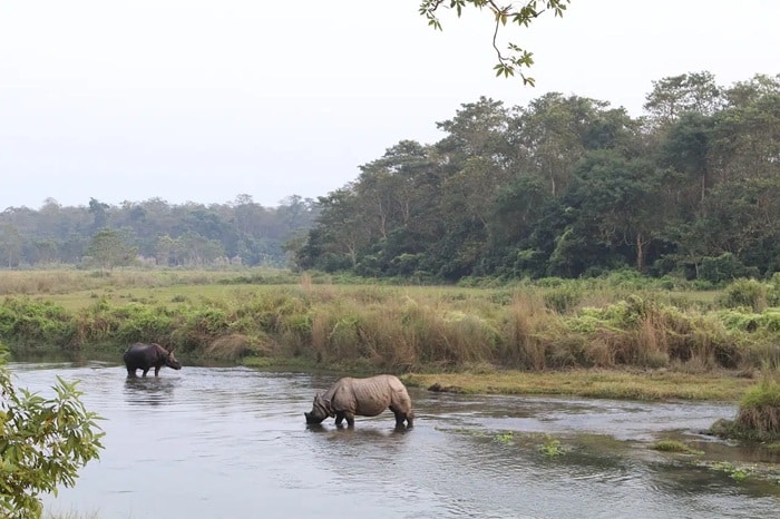 Tipps umweltbewusste Safari Chitwan