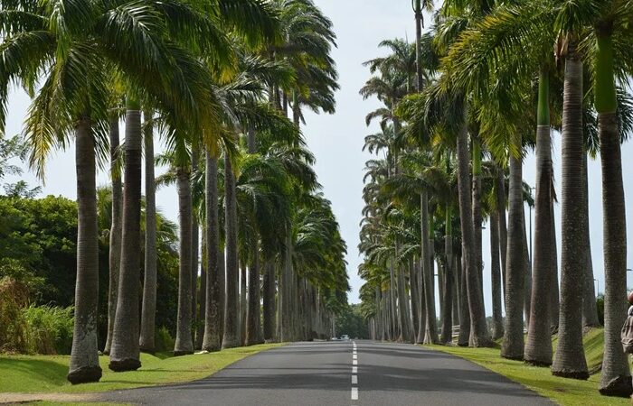 Guadeloupe Reise