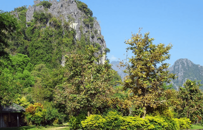 Tubing in Vang Vieng Laos