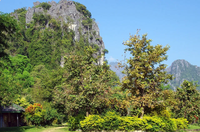 Tubing in Vang Vieng Laos