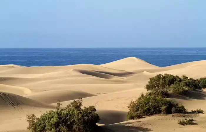 Maspalomas de Gran Canaria