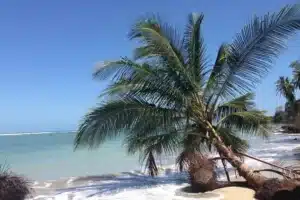 Costa Rica Paradies für Strandurlauber