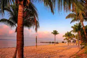 Meine Reise nach Key West